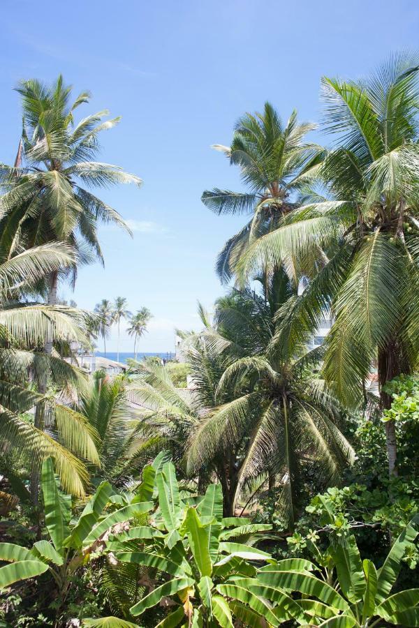 Alvas House Hotel Hikkaduwa Exterior photo